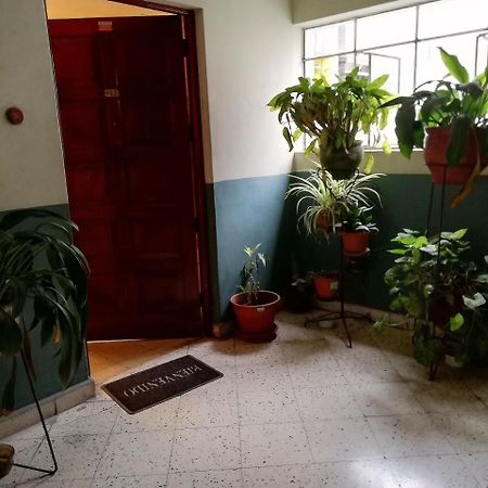 לימה Hospedaje En Jesus Maria מראה חיצוני תמונה